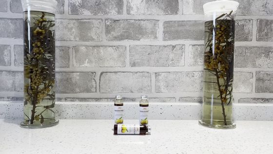 السائل الفموي للصحة الوريدية OEM يحسن صحة الجهاز التنفسي والقلب والأوعية الدموية والدماغية