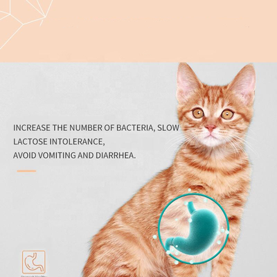 Kittens OEM مكملات حليب القطط مكملات الرعاية الصحية للحيوانات الأليفة